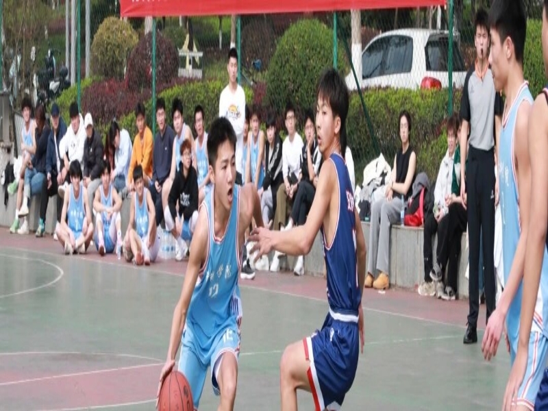 mmexport1713092530229_proc.jpg